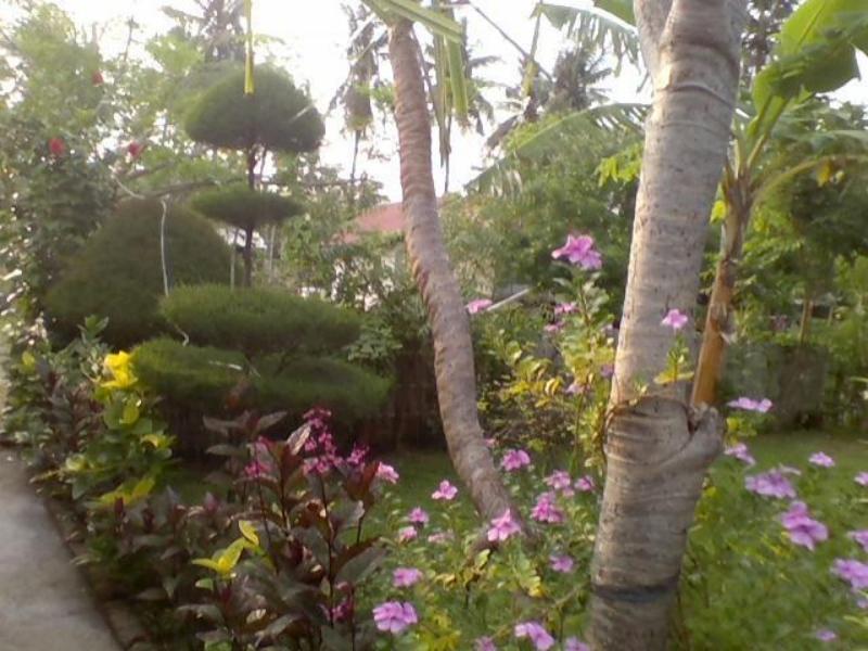 Tropicana Bungalows Gili Meno Εξωτερικό φωτογραφία